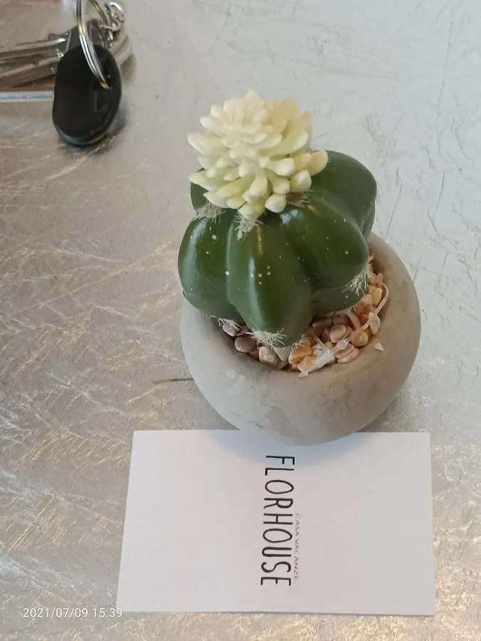 卡塔尼亚Florhouse Pacini公寓 公寓 卡塔尼亚