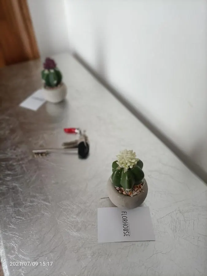 公寓 卡塔尼亚Florhouse Pacini公寓 意大利